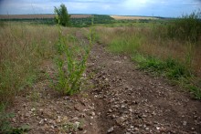 Памятник каменного века Бирючья балка