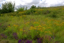 Памятник каменного века Бирючья балка