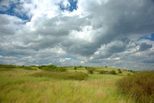 Памятник каменного века Бирючья балка