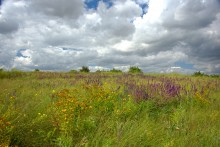 Памятник каменного века Бирючья балка