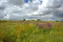 Памятник каменного века Бирючья балка