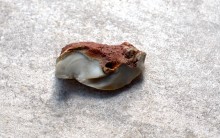 Памятник каменного века Бирючья балка