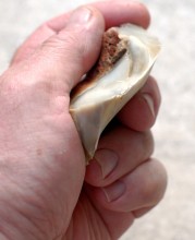 Памятник каменного века Бирючья балка