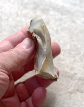 Памятник каменного века Бирючья балка