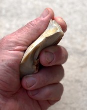 Памятник каменного века Бирючья балка