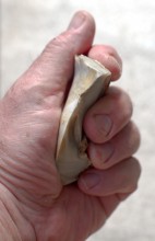 Памятник каменного века Бирючья балка