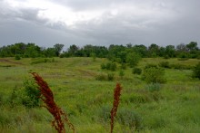 Памятник каменного века Бирючья балка