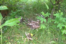 Памятник каменного века Бирючья балка