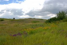 Памятник каменного века Бирючья балка