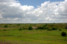 Памятник каменного века Бирючья балка