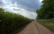 Дождливое лето 2023