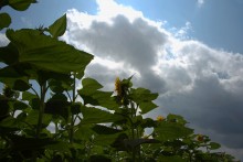 Дождливое лето 2023