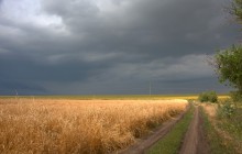 Дождливое лето 2023