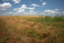 Дождливое лето 2023