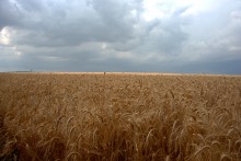 Дождливое лето 2023