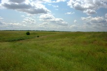 Балка Сухая Кугульта в Сальских степях, в очень дождливом июле