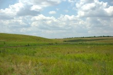 Балка Сухая Кугульта в Сальских степях, в очень дождливом июле