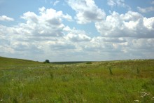 Балка Сухая Кугульта в Сальских степях, в очень дождливом июле