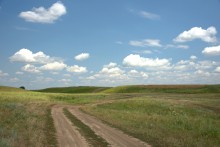 Балка Сухая Кугульта в Сальских степях, в очень дождливом июле