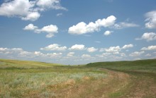 Балка Сухая Кугульта в Сальских степях, в очень дождливом июле