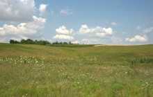 Балка Сухая Кугульта в Сальских степях, в очень дождливом июле