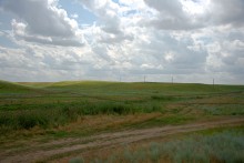 Балка Сухая Кугульта в Сальских степях, в очень дождливом июле