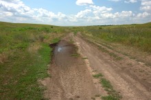 Балка Сухая Кугульта в Сальских степях, в очень дождливом июле