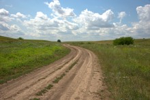 Балка Сухая Кугульта в Сальских степях, в очень дождливом июле