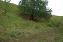 Балка Сухая Кугульта в Сальских степях, в очень дождливом июле