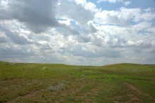 Балка Сухая Кугульта в Сальских степях, в очень дождливом июле