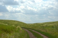 Балка Сухая Кугульта в Сальских степях, в очень дождливом июле