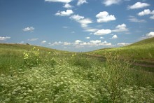 Балка Сухая Кугульта в Сальских степях, в очень дождливом июле