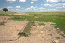 Балка Сухая Кугульта в Сальских степях, в очень дождливом июле