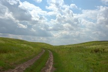 Балка Сухая Кугульта в Сальских степях, в очень дождливом июле