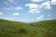 Балка Сухая Кугульта в Сальских степях, в очень дождливом июле