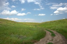 Балка Сухая Кугульта в Сальских степях, в очень дождливом июле