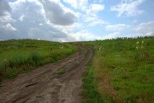 Балка Сухая Кугульта в Сальских степях, в очень дождливом июле