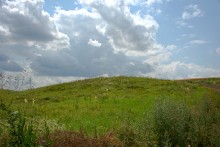 Балка Сухая Кугульта в Сальских степях, в очень дождливом июле