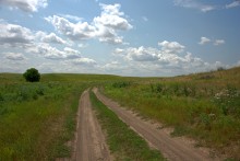 Балка Сухая Кугульта в Сальских степях, в очень дождливом июле