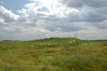Балка Сухая Кугульта в Сальских степях, в очень дождливом июле