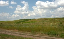 Балка Сухая Кугульта в Сальских степях, в очень дождливом июле