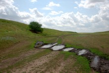 Балка Сухая Кугульта в Сальских степях, в очень дождливом июле