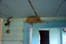 Старый курень в хуторе Кременском