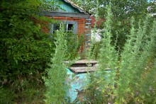 Старый курень в хуторе Кременском