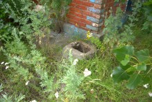 Старый курень в хуторе Кременском