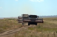 Комбайн RSM-161, комбайны Ростсельмаш на уборке