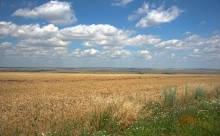 Путешествие по притокам и родникам реки Кундрючьей, по балкам Дубовой, Грушевской и Семимаячной