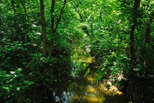 Путешествие по притокам и родникам реки Кундрючьей, по балкам Дубовой, Грушевской и Семимаячной