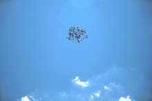 Путешествие по притокам и родникам реки Кундрючьей, по балкам Дубовой, Грушевской и Семимаячной