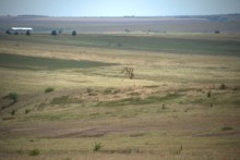 Путешествие по притокам и родникам реки Кундрючьей, по балкам Дубовой, Грушевской и Семимаячной